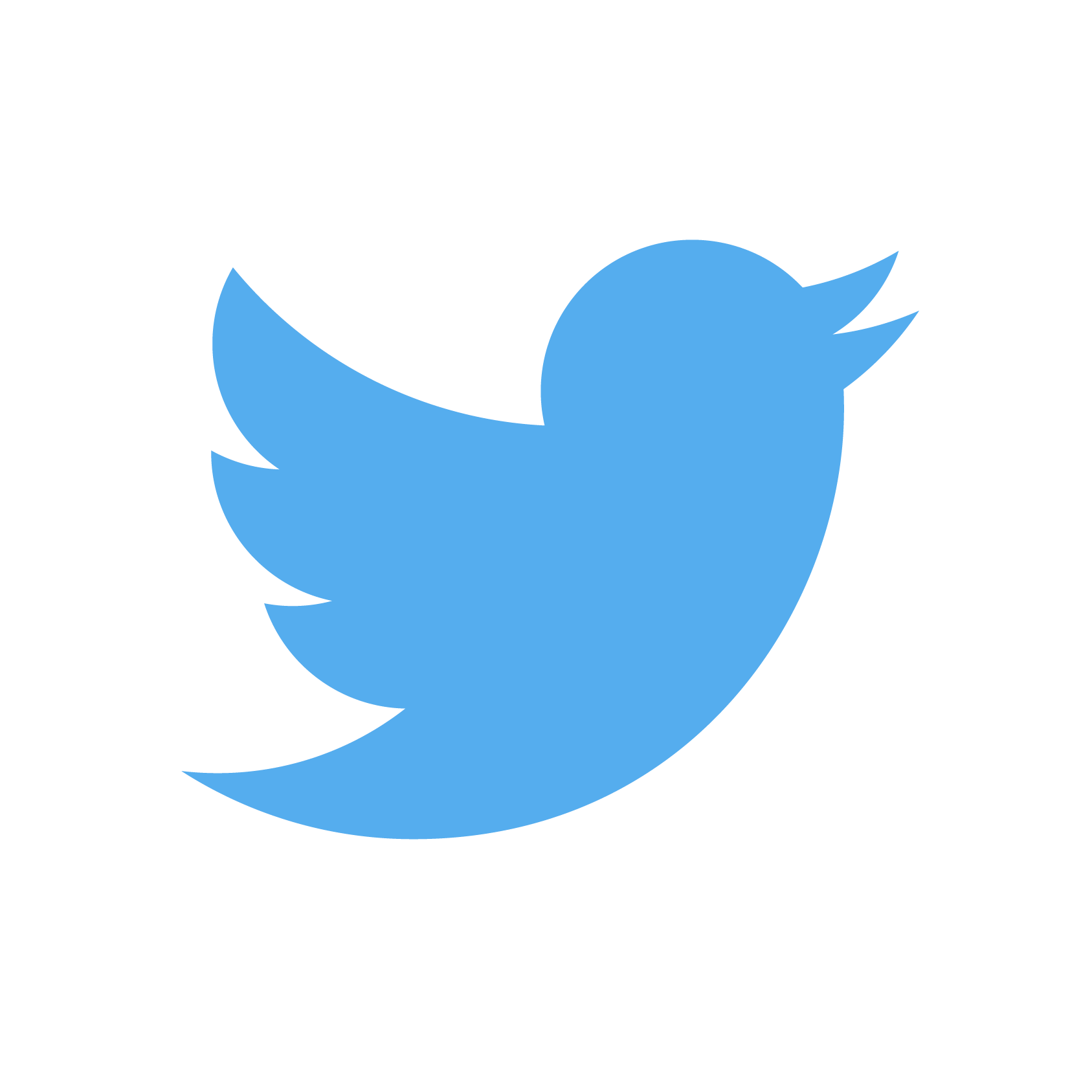 Logotipo de pássaro do Twitter