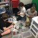More Students using Cubelets