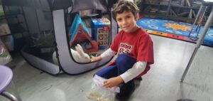 Student in 2nd grade class feeding the class's white pet bunny in a tent
